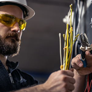 Basic Electricals